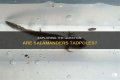 Are salamanders tadpoles?