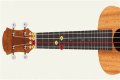 Can you tune a ukulele to drop D?