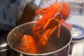 FAQ: How to cook lobster boil?